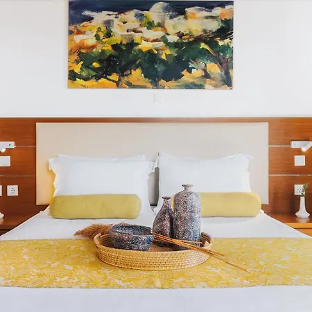 Andromeda Отель Astypalaia