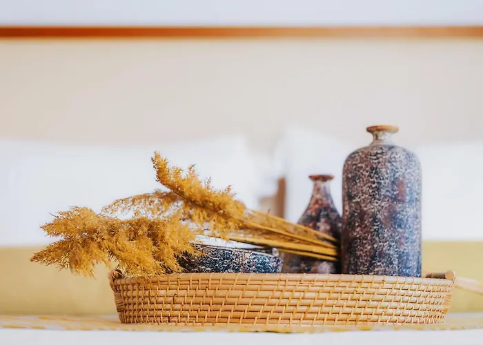 安德罗梅塔度假酒店 3*