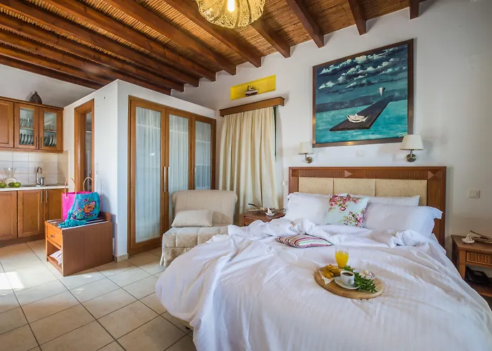 酒店 安德罗梅塔度假酒店 3*