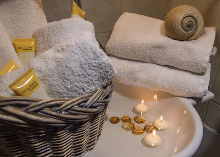 酒店 安德罗梅塔度假酒店