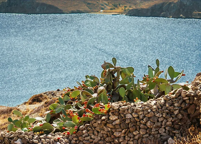 安德罗梅塔度假酒店 3*